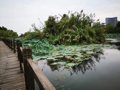 -艾溪湖湿地公园