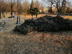 -石榴庄公园