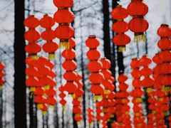 -东平国家森林公园