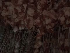 -永安烧烤