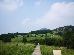 -白草畔自然风景区