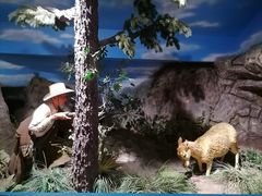 -陕西自然博物馆