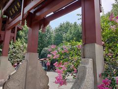 -杭州半山国家森林公园