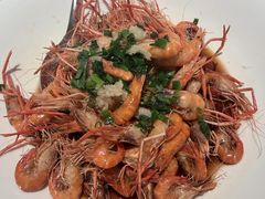 -洋洋中餐馆·SINCE 1997(龙湖星湖天街店)