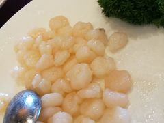 -一品粤珍轩(吴中路店)
