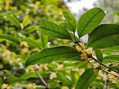-敬亭山风景名胜区