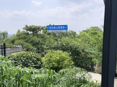 -蘇河湾·新鲁菜·泰山宴(泰山店)