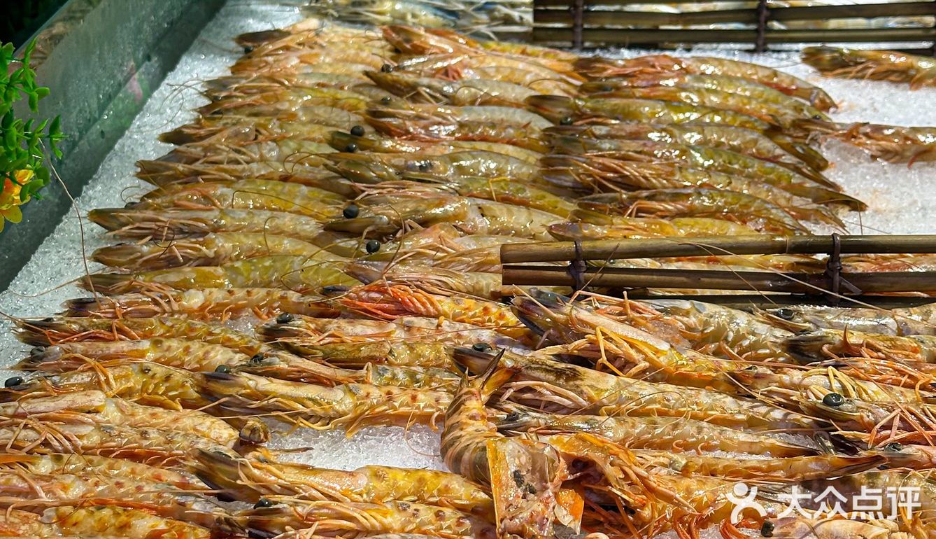 九命 穷鬼快乐自助泰香了