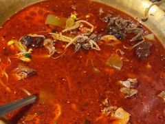 -张翻越·川渝冒菜·武汉黑鸭煲(城北万象城店)