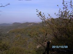 -鲁山国家森林公园