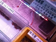 -山东柏宁水族批发广场