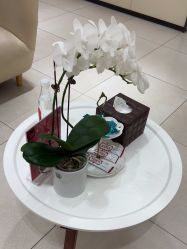 -Yestar宁波艺星整形医院