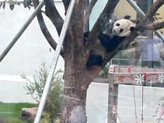 -无锡动物园·太湖欢乐园