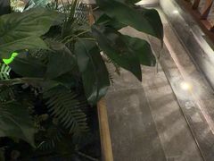 -浅深(北京北四环精品店)