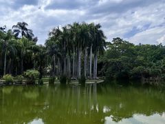 -中国科学院西双版纳热带植物园