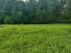 -长春公园(普阳街道)