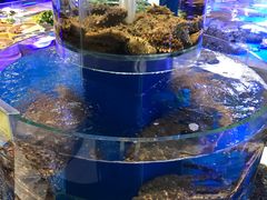 -新海渔港·胶东海鲜家常菜·家宴(奥体中心店)