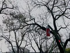 -关中书院