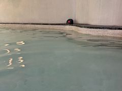 -晋爵会游泳馆(海湾公园店)