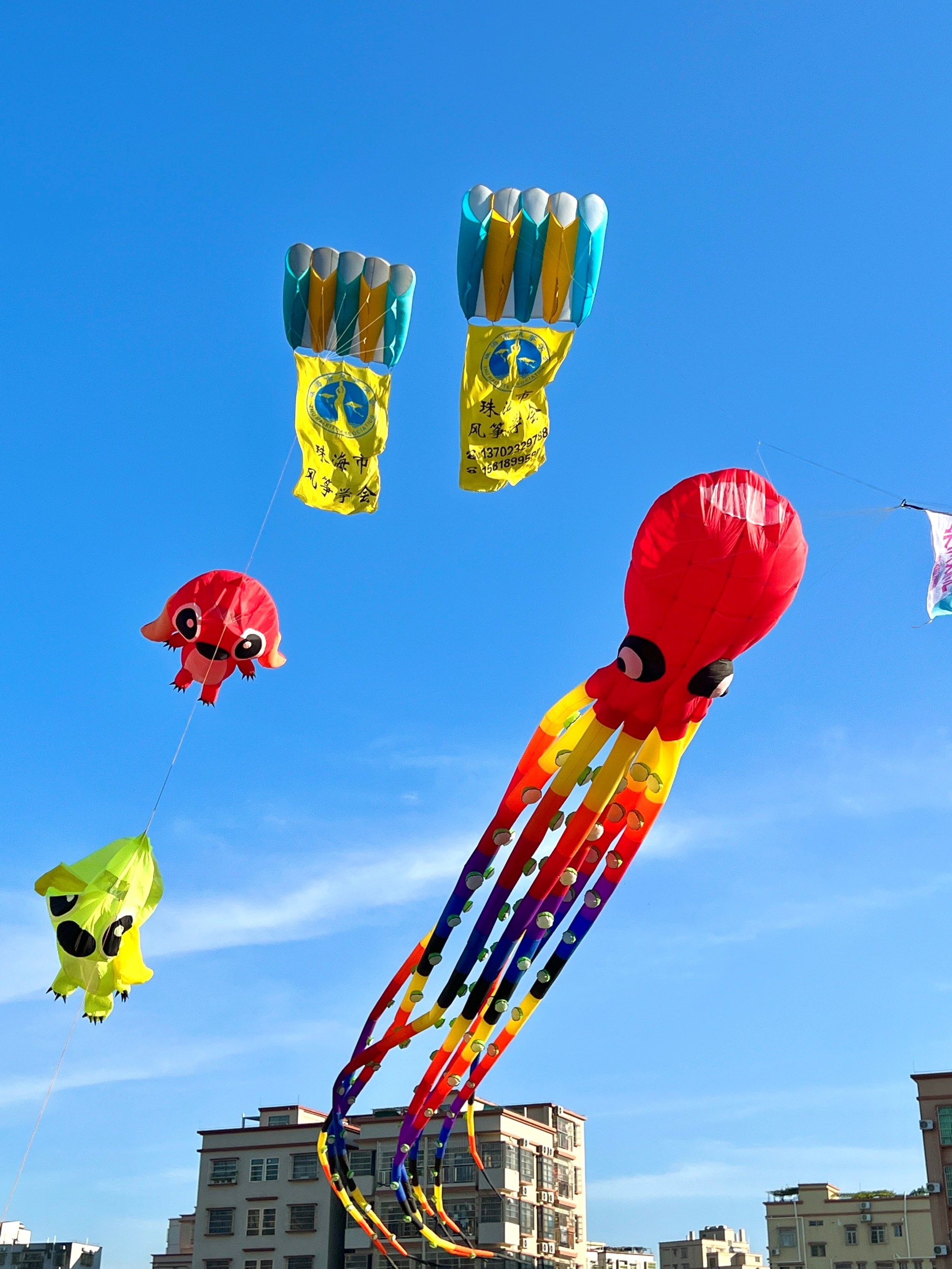 可以永远相信坦洲的浪漫