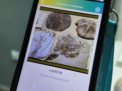 -安塔利亚博物馆