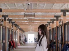 -北京群众马术培训基地