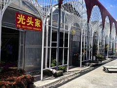 -龙大花卉苗木市场