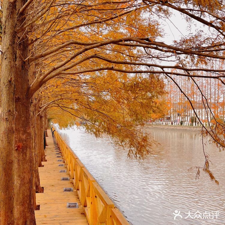 一尺花园1号店，去了一次就爱上了