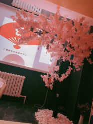 -觅屿日式脱毛美肤