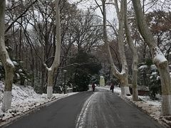 -灵谷景区
