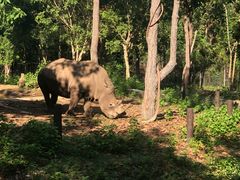 -清迈夜间动物园