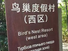 -三亚亚龙湾人间天堂鸟巢度假村
