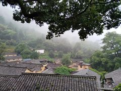 -杨家堂村