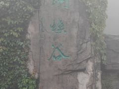 -梧桐山风景名胜区