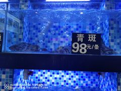 -莲花公园煎蟹(总店)