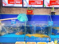 水产区-双合园·海鲜水饺青岛菜(大尧三路店)