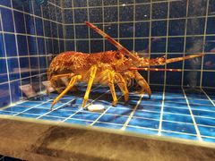 -渔歌雅宴·渔鲜烤鸭(北京西站店)