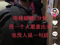 -约翰·菲茨杰拉德·肯尼迪国际机场