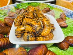 -鸽子窝(青塔店)