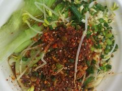 -老陈婆手工面庄