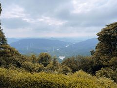 -黄埔油麻山森林公园