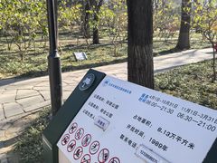 -玲珑塔公园