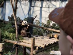 -红山森林动物园