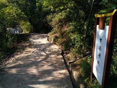 -羚羊峡古栈道森林公园