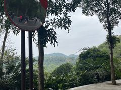 -深圳仙湖植物园
