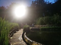 -成都市活水公园