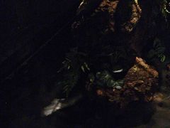 -泰之源足浴会所(玉环店)