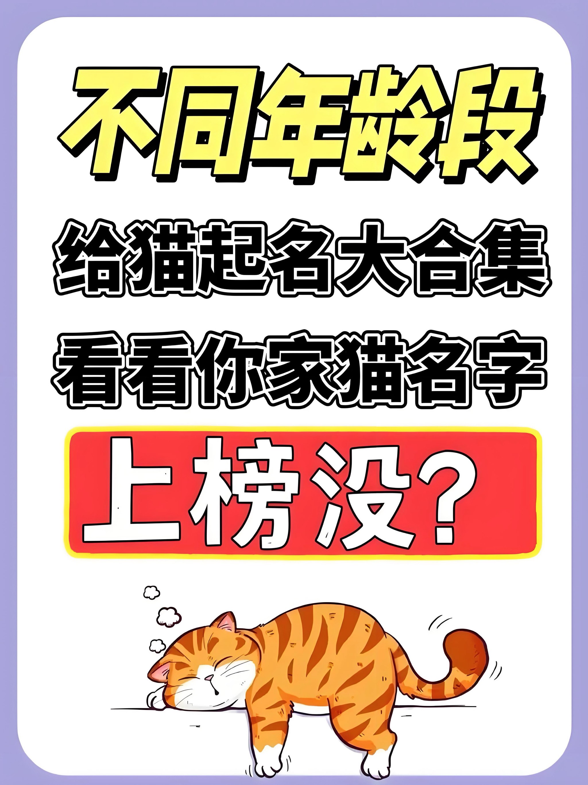 猫爸猫妈�点开找一找