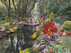 -上海共青森林公园