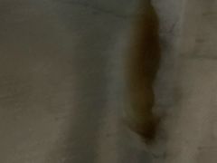 -奥冠体育华师附中恒温游泳馆